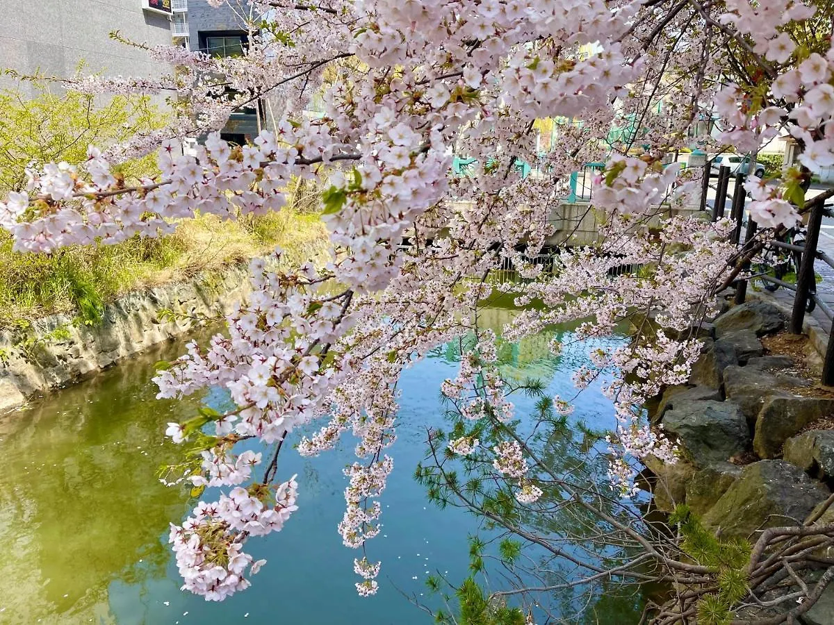 Susukino House: Luxury Apartment Near Nakajima Park Sapporo Japan